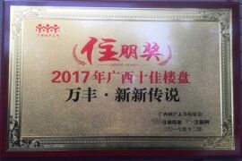 万丰•新新传说荣获“2017广西(xī)十佳楼盘”